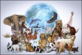 /album/galeria-de-fotos/o-sofrimento-dos-animais-jpg/